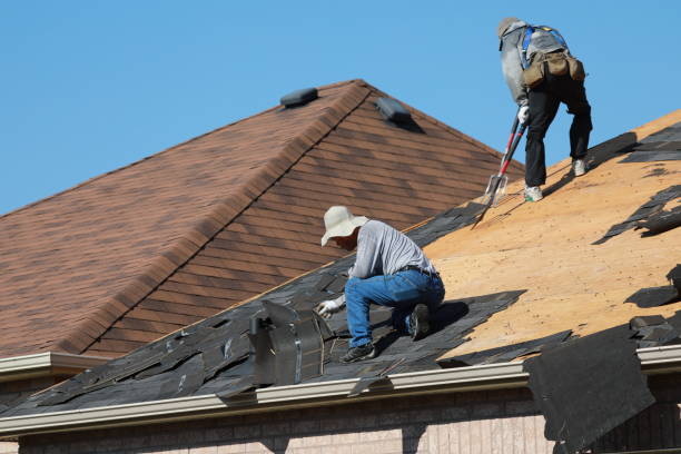 Best Skylight Installation and Repair  in Loves Park, IL
