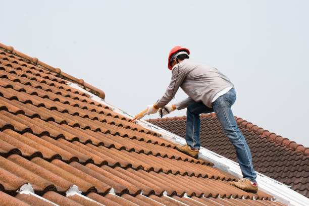 Best Green or Eco-Friendly Roofing Solutions  in Loves Park, IL